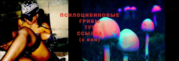 хмурый Алексеевка