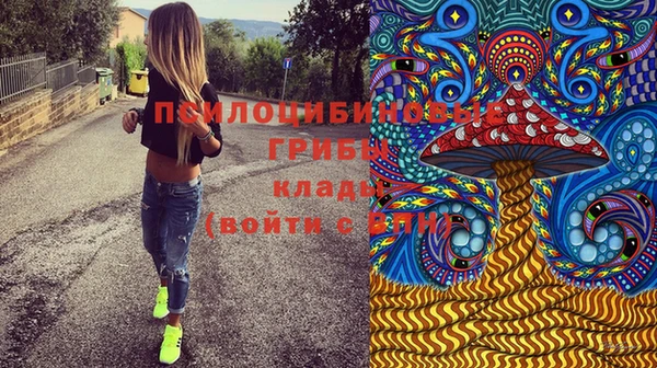 хмурый Алексеевка
