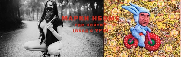 метадон Алексин