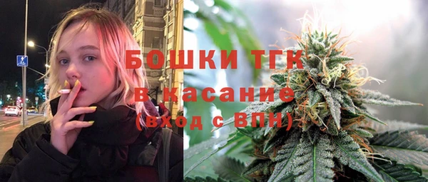 хмурый Алексеевка