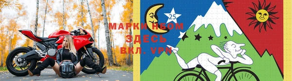 метадон Алексин