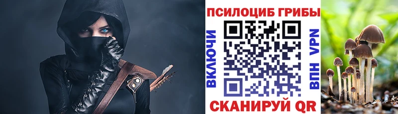 Псилоцибиновые грибы ЛСД KRAKEN зеркало Стародуб закладки